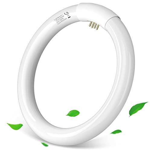 Aigostar - T9 Lampadina Fluorescente Attacco G10q, 22W 1200lm 21cm, Luce Bianca Fredda 6500K, Circolare, Vetro.