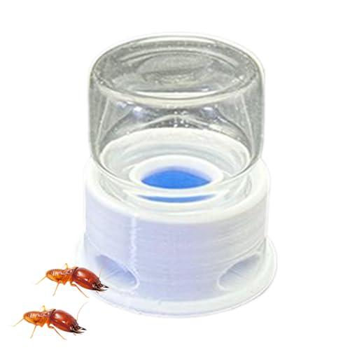 Ant Feeder, Crickets Water Station, Hydration Maintenance, Anti-Drowning Transparent Drinking Feeder, Stable Hydration Supply, for Ants, Bees, Home Use, Classroom, Outdoor, 1.42x1.5 inches