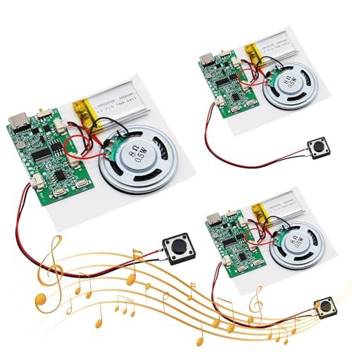 USB audio Modulo AYWHP 3PCS Type-C Modulo chip audio MP3 con batteria ricaricabile,altoparlante Per carte, regali, giocattoli