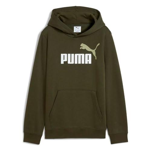 PUMA Ess 2 Color No. 1 Logo Hoodie FL B