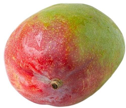 Fruttital/F.lli Orsero, Mango, 380 g