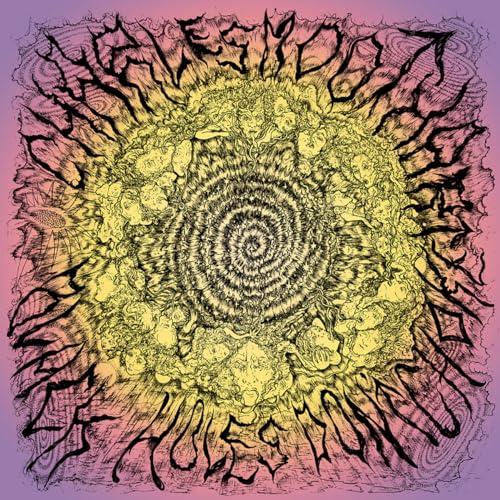 Black Holes Don't Choke [VINYL]