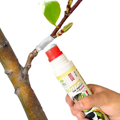 Albagarden - Mastice Per Innesti E Potature + Con Rame + Pasta Cicatrizzante per Tagli e Ferite su Piante Alberi Arbusti e Bonsai - Tubetto Pronto Uso X 250 gr