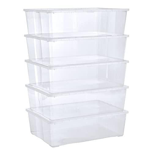 Grizzly Scatole 5 x 25 L grandi con coperchio trasparente - scatole trasparenti impilabili con ventilazione
