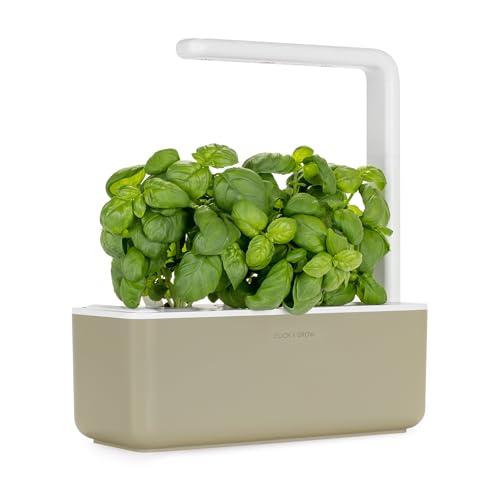 Click And Grow | più Facile di Serra idroponica | Cialde Smart Garden per Piante di Issopo, Confezione da 3 Pezzi | Intelligente Vaso | Vasi per Piante da Esterno | Grow Box Kit Completo