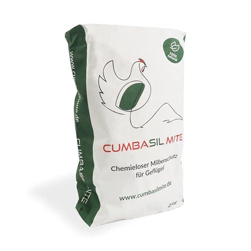 Cumbasil Bagno di polvere antiacaro per polli 25 kg, bagno di sabbia in polvere contro gli acari, rimedio antiacaro per polli, protezione antiacaro naturale, polvere