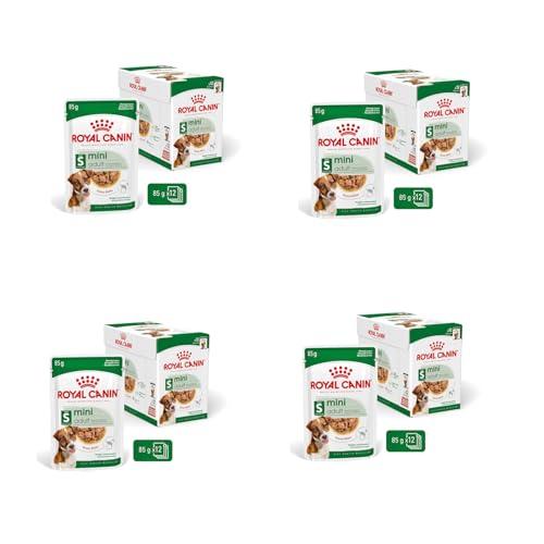 Royal Canin Mini Adult in Salsa | Confezione da 4 | 4 x 12 x 85 g | Alimento umido per cani adulti di piccola taglia (da 1 a 10 kg) | Da 10 mesi a 12 anni | Contenuto energetico adattato