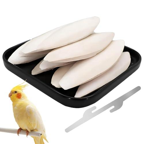 10 Pezzi Osso di Seppia Naturale 9-12 cm con Supporto | Per Uccelli, Rettili, Tartarughe, Draghi Barbuti e Lumache | Fonte di Calcio Artigianale per Ossa Forti