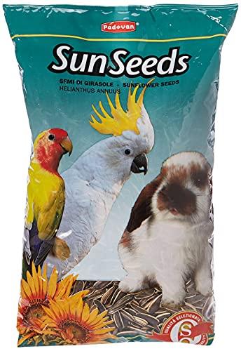 Padovan Semi di Girasole Medio - Mangime Semplice - Confezione da 500 gr