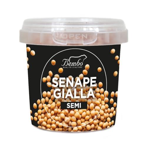 Semi Bembo: Semi di Senape Gialla 100g – Aggiungi un Tocco di Piccantezza ai Tuoi Piatti – Confezione Anti-Spreco, Anti-Ossidazione, Riutilizzabile e Riciclabile