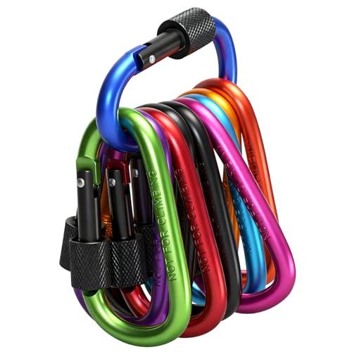 Jomdjmskes 10 Pezzi Moschettone Portachiavi, Moschettoni Piccoli con Chiusura a Molla Moschettone in Alluminio Forma a D per Alpinismo, Campeggio, Escursionismo, Backpacking
