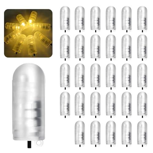 Fancysky 30 Pezzi Luci per Palloncini con Interruttore e Gancio, Mini Luci LED a Luce Calda per Palloncini, Lanterna di Carta, Natale, Matrimonio, Festa, Decorazioni