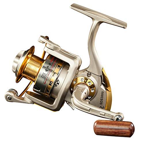 Diwa, mulinello da pesca spinning per acqua salata serie 1000 2000 3000 4000 5000 6000 sinistra/destra intercambiabile per pesca alla carpa, bobina con 10 cuscinetti a sfera, leggero e liscio (4000)