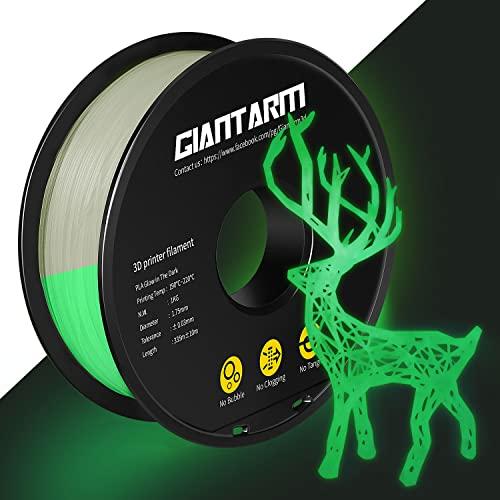 Filamento PLA GIANTARM 1,75 mm PLA Fluorescente Verde Luminoso, Glow In The Dark Materiali di Stampa 3D 1kg Spool