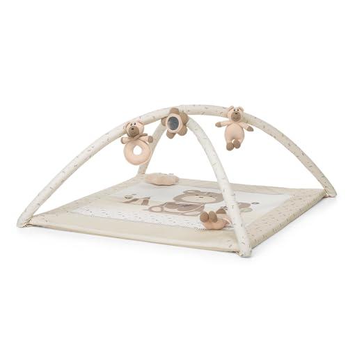 Foppapedretti Trainer Palestrina, Augh
