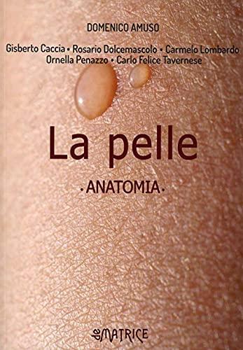 La pelle. Anatomia