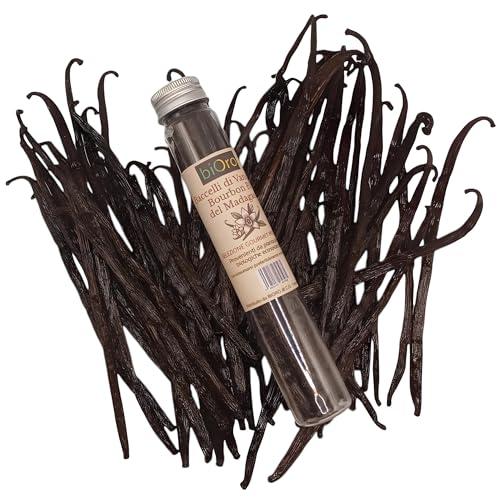 BIORO Vaniglia Bourbon del Madagascar- 10 Baccelli Extra Grandi 16-18 cm - Aroma Intenso e Naturale - Selezione Gourmet Premium - Ideale per Dolci, Gelati, Estratti e Ricette