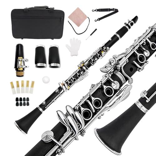 Yinfente Clarinetto in ebanite professionale per studenti principianti con 2 barili kit di pulizia custodia rigida mouthpiece cork grasso guanti
