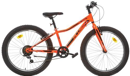 Dino Bikes BICICLETTA BIMBO MISURA 24 BICI MTB PLUS AURELIA BAMBINO ART. 424UP ARANCIO FLUO (ARANCIO FLUO)