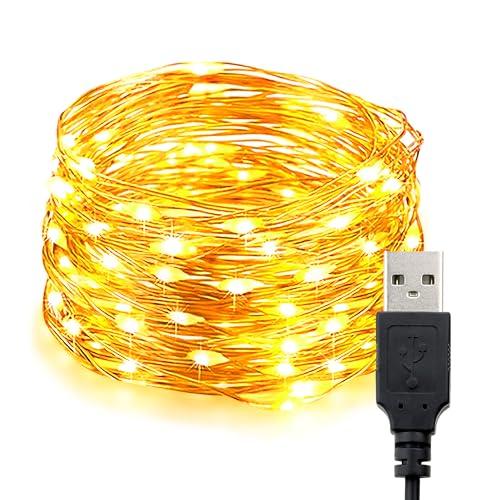 EvaStary USB LED stringa luce, 10M 100LED rame filo stringa luci, camera da letto impermeabile catena decorativa luce per fai da te Natale, giardino, festa, decorazione matrimoniale, bianco caldo