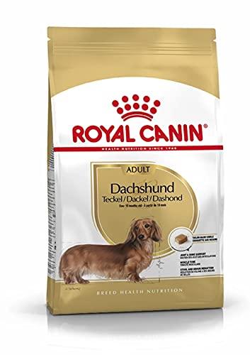 Royal Canin Dachshund Adult 28-7500 GR