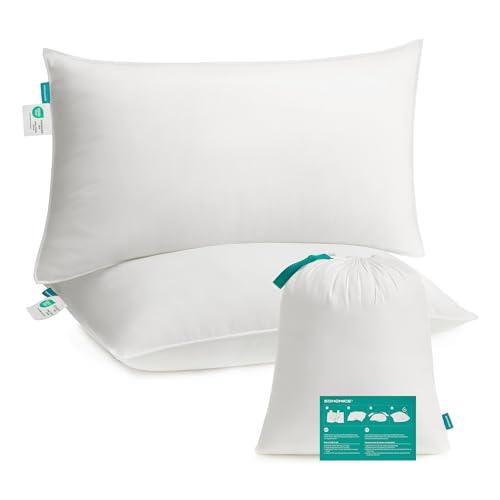 SONGMICS Cuscini Letto, Set da 2, 50 x 70 cm, Imbottitura 800 g, Rivestimento in Tessuto di Poliestere Spazzolato, Lavabile in Lavatrice a 60°C, Con Borsa, Bianco Nuvola TBP006W02