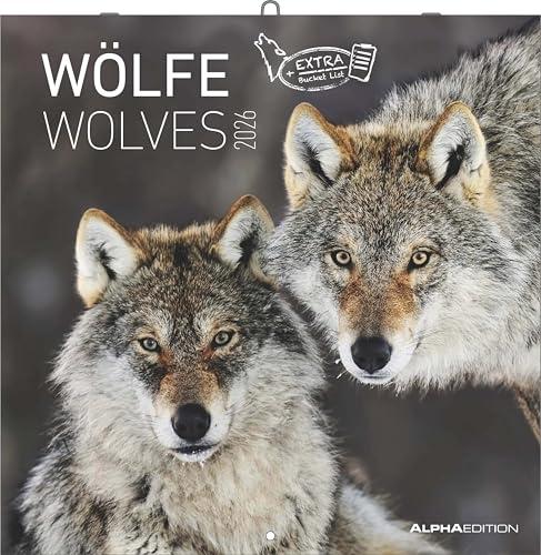 Wölfe 2026 - Broschürenkalender 30x30 cm (30x60 geöffnet) - Kalender mit Platz für Notizen - Wolves - Bildkalender - Wandplaner - Alpha Edition: Wolves