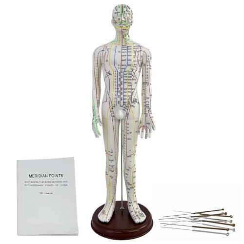 KDJFS 1/3 Punti di Agopuntura Manichino, 52cm Manichino Esercitazione Agopuntura con Le Istruzioni per la Localizzazione dei Punti di Agopuntura, Utilizzato per la Pratica di Inserimento dell'ago