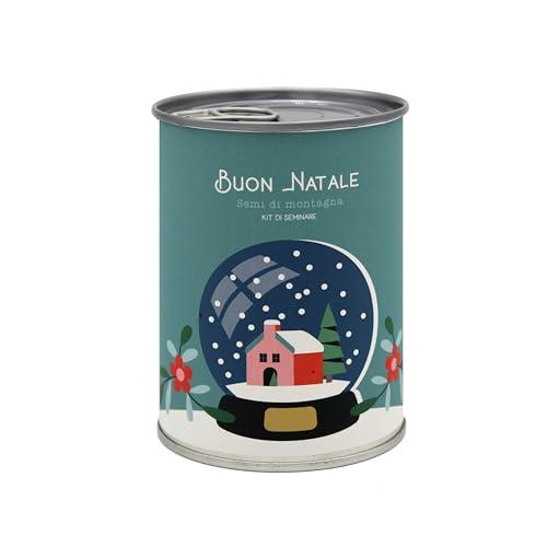 Kit di Coltivazione di Fiori da Regalare con Messaggio - Regalo di Natale per Donna e Uomo Regalo Originale Amici Famiglia Feste - Facilissimo da Usare - 100% Realizzato in Europa (Buon Natale)