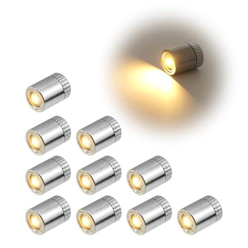10 pcs Mini Luci LED a Batteria, LED Decorative per Modello in Miniatura, Lucine LED Decorative Adatto per Natale San Valentino Ringraziamento Modelli Artigianali Fai-Da-Te (Luce Bianca Calda)