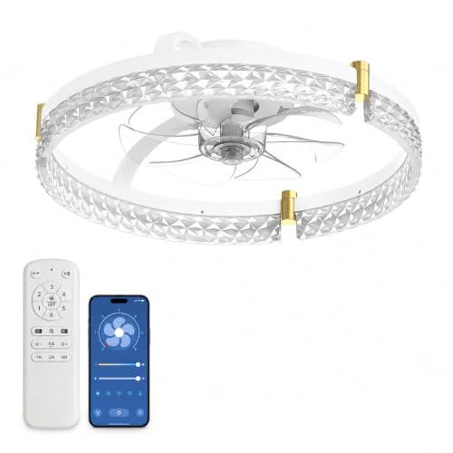 Airwit 48cm Ventilatore da Soffitto Silenzioso con Luce e Telecomando, Dimmerabile Lampada Ventilatore da Soffitto Moderno con Reversibile Motore DC, Lampadario Ventilatore per Camera