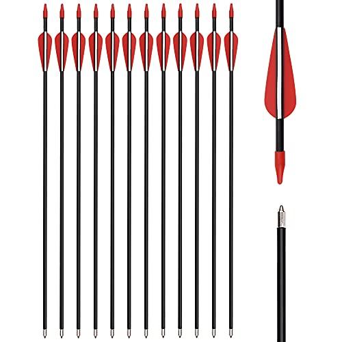 Elong 12 Frecce in Vetro da 32 Pollici per Tiro Con l'Arco, per Bambini, Arco Ricurvo e Sportivo, Gioco per Attività All'Aria Aperta