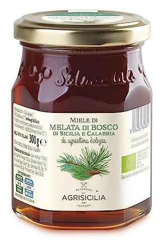 Agrisicilia Miele Di Melata Da Agricoltura Biologica - 300 g