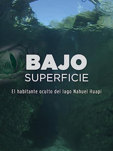 Sotto la superficie