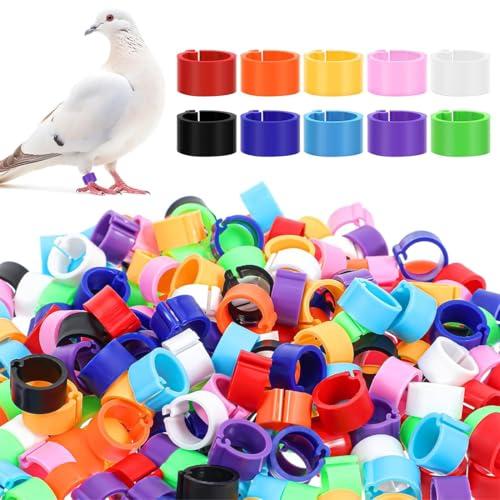 JEYORZY 100 Pezzi anelli per zampe di uccello di 10 mm in plastica, multicolori, Perfetti per polli, piccioni e altri piccoli animali, Con clip sulle gambe per un facile utilizzo, Colore casuale