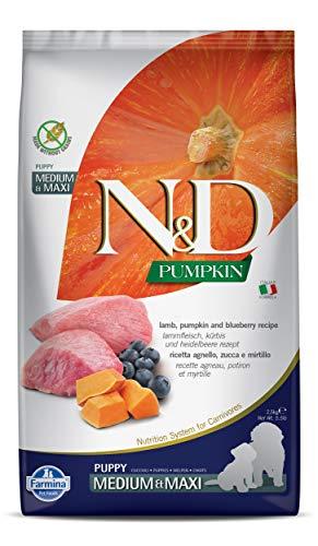 N&D PUMPKIN DOG LAMB & BLUEBERRY PUPPY MEDIUM & MAXI 2,5 KG