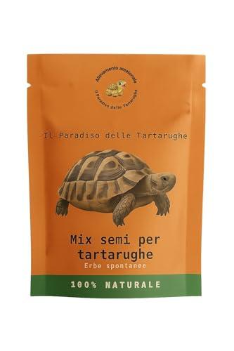 Mix di Semi di erbe spontanee Per Tartarughe Di Terra con Trifoglio, Tarassaco, Cicoria, Malva, Scarola e Ortica, Semi Per Nutrizione Ottimale per le nostre Tartarughe-30 gr. (5000 semi circa)