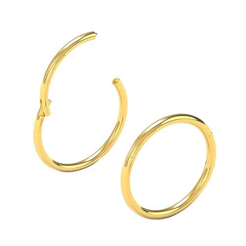 Body CAC 2 Pezzi-0.8mm×8mm Sottili Naso Orecchini Acciaio Cerchietti Chirurgici, Piercing Oro Anello Ipoallergenico Finto Nostril Trago per Donne