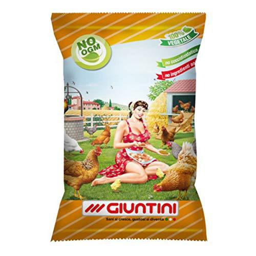 Giuntini Linea Agri Coccodoro 25kg Micronizzato No OGM No COCCIDIOSTATICO mangime per Galline ovaiole con granaglia, aggiunta di gusci d'ostriche Alta qualita' ed Erba Medica