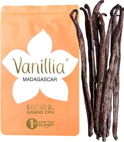VANILLIA • 5 Baccelli XL di Vaniglia Bourbon del Madagascar • GRAND CRU 2025 • Baccello XL 15/18cm • Sacchetto FreshZIP