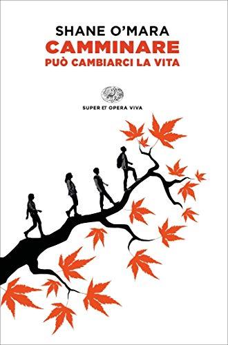 Camminare può cambiarci la vita (Super ET. Opera viva)