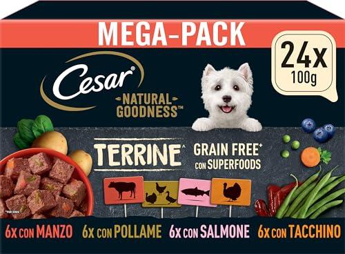Cesar Natural Goodness Terrine Cibo Umido per Cani al gusto di Pollame, Tacchino, Manzo e Salmone in Patè, 24 Vaschette da 100g