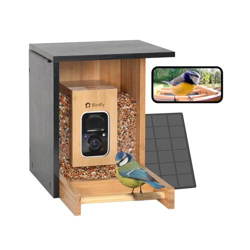 Netvue by Birdfy Telecamera per Birdwatching con Batteria e Solare, Mangiatoia per Uccelli con Bambù Ecologico e Rinnovabile, Cattura Automatica, Notifica Uccelli, Mangiatoia Uccelli da Esterno