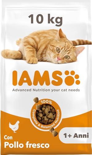 IAMS Cibo secco con pollo fresco per gatti da 1+ , 10 kg