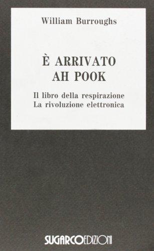E' arrivato Ah Pook