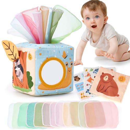 hahaland Scatola di Fazzoletti Montessori 3-6 Mesi, Giochi Neonati Sensoriali Scatoletta Interattiva in Tessuto e Specchio, Regalo Neonato Maschio