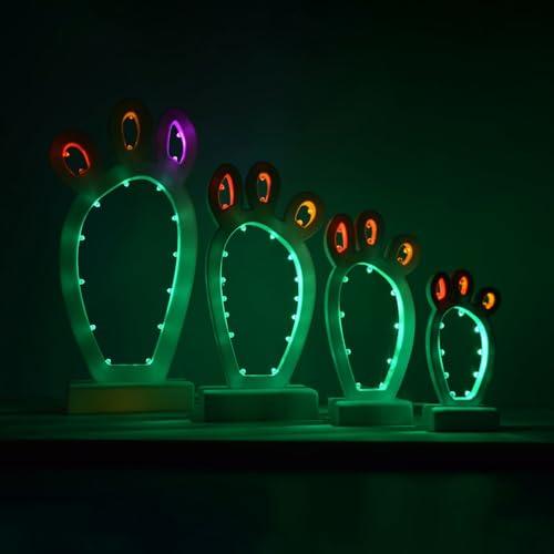 Pala di fico d’india (S, Base: Verde | Frutti: Rosa-Blu-Bianco Freddo)