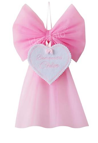 Fiocco nascita ricamato personalizzabile con nome e frase, in tulle rosa e azzurro bimbo bimba (Bimba)