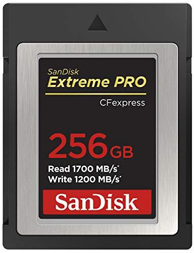 SanDisk 256GB Extreme PRO scheda CFexpress Type B, fino a 1700 MB/s ripresa filmati RAW 4K + RescuePro Deluxe
