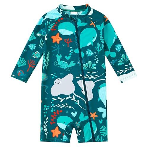 Baby Ragazzo Costume da Bagno con UPF 50 + Protezione Solare Full Zipper Cartoon Tuta da Sole a Maniche Lunghe per Toddler (18-24mesi)